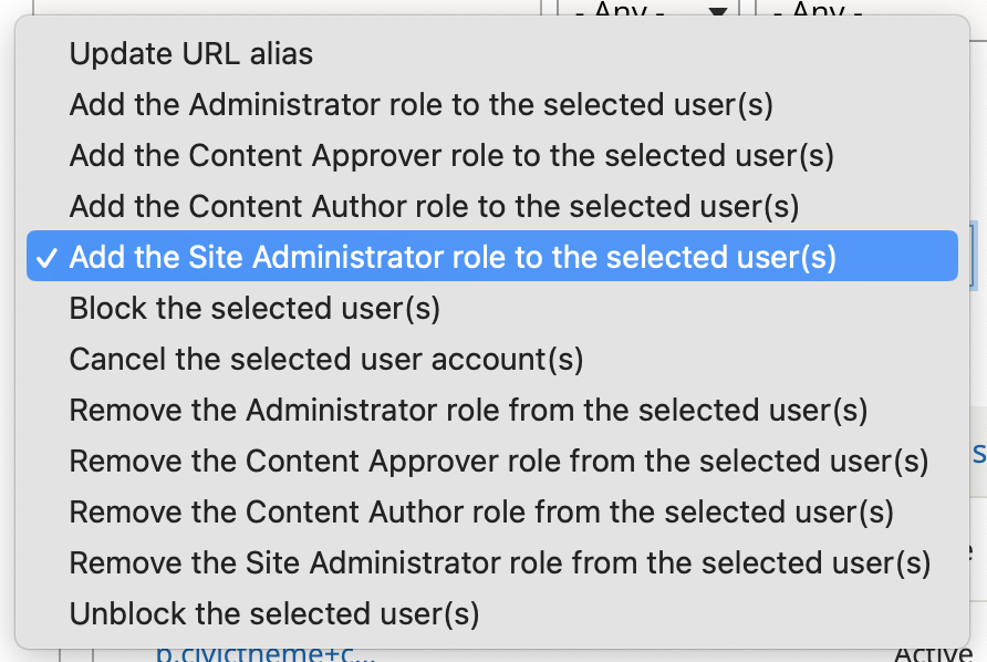 Screenshot of roles that can be assigned and unassigned to users